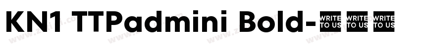 KN1 TTPadmini Bold字体转换 KN1 TTPadmini Bold字体转换